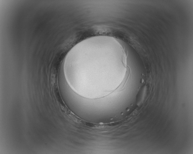 X0000080800417200701122220