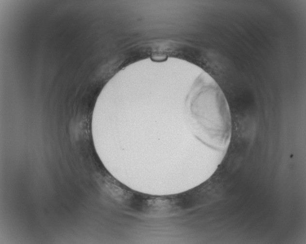 X0000080800419200701122220