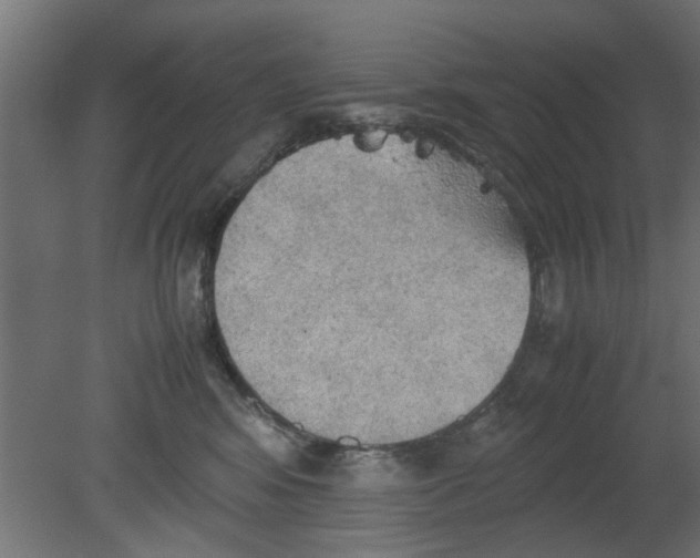 X0000080800424200701122219