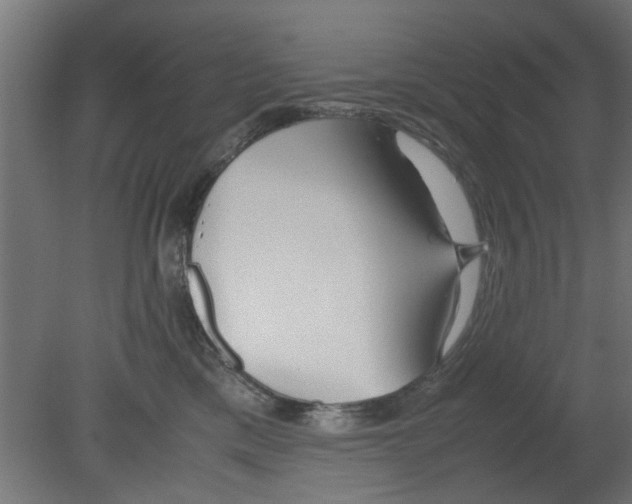X0000080800425200701122219