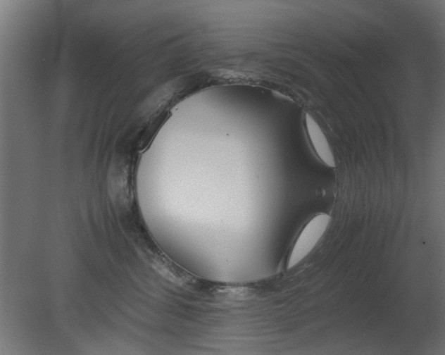 X0000080800428200701122219