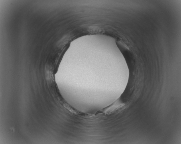 X0000080800432200701122219