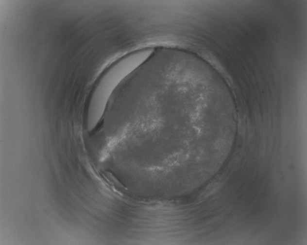 X0000080800434200701122218
