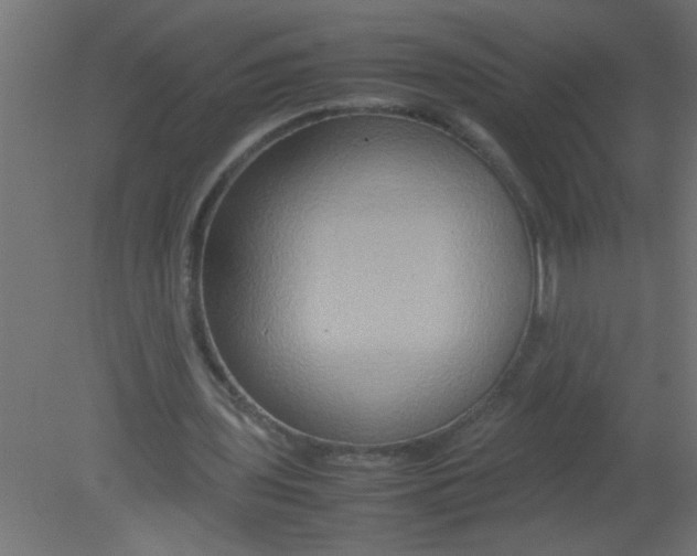 X0000080800435200701122219