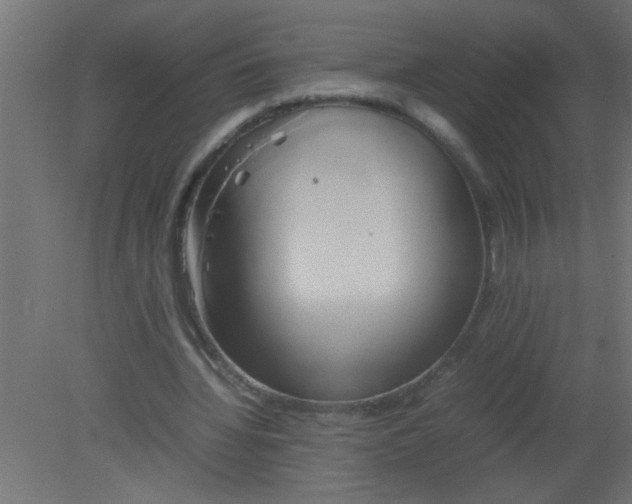X0000080800436200701122219
