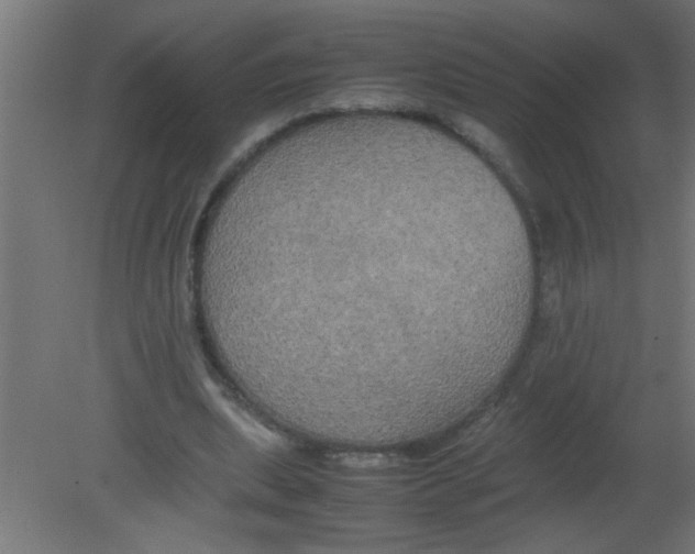 X0000080800439200701122219