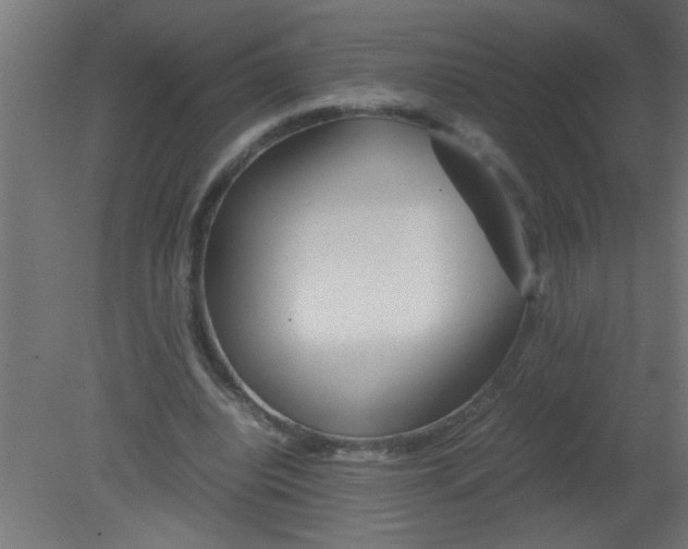 X0000080800440200701122219