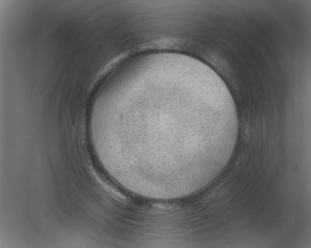 X0000080800442200701122219