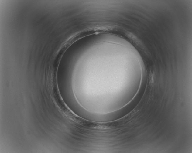 X0000080800444200701122219
