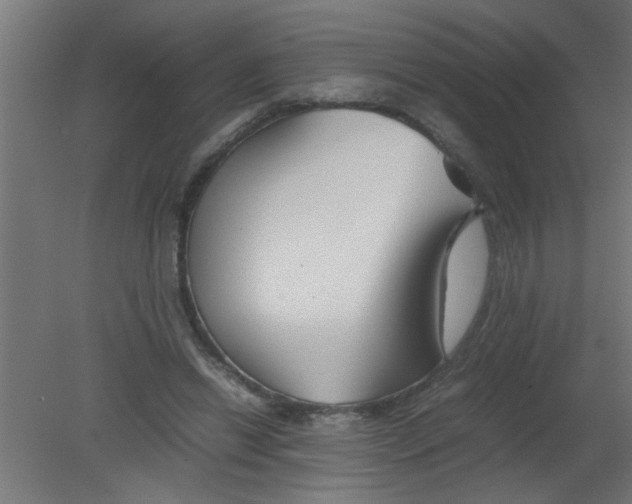 X0000080800446200701122219