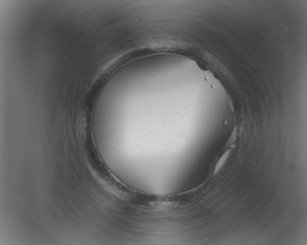 X0000080800448200701122219