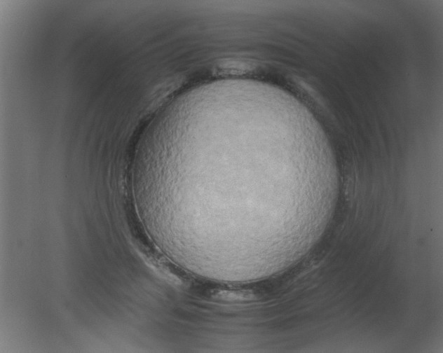 X0000080800455200701122219