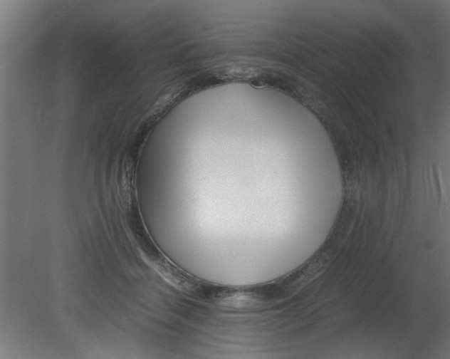 X0000080800460200701122219