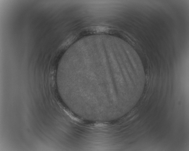 X0000080800462200701122219