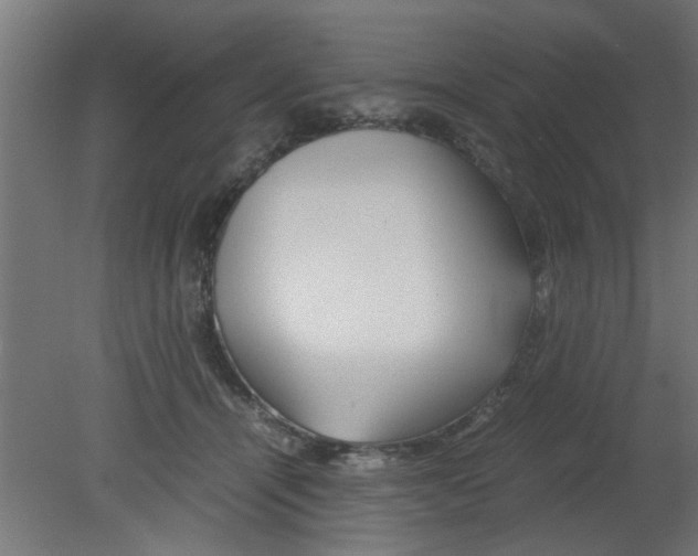 X0000080800464200701122219