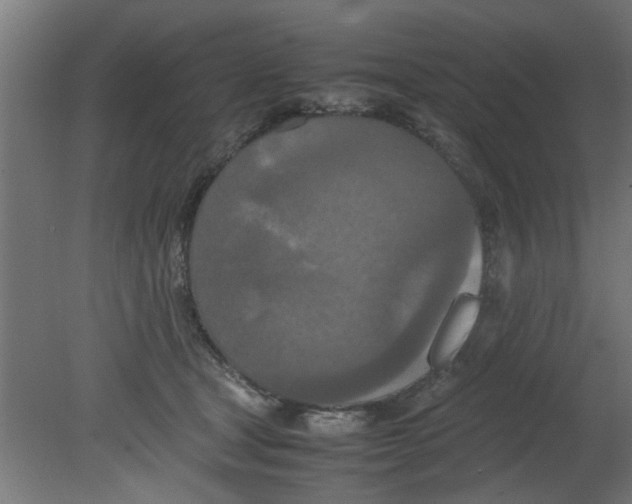 X0000080800465200701122219