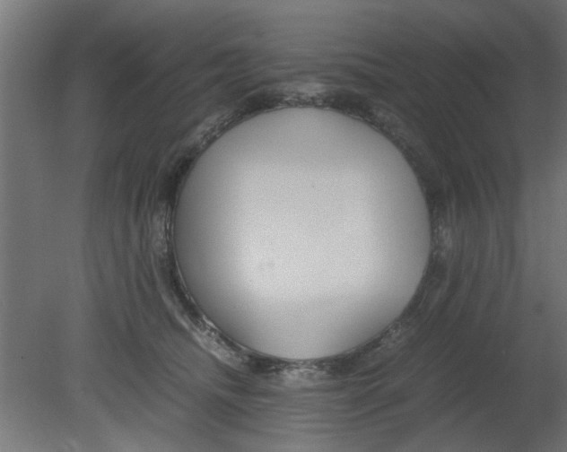 X0000080800468200701122219