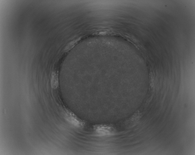 X0000080800471200701122219