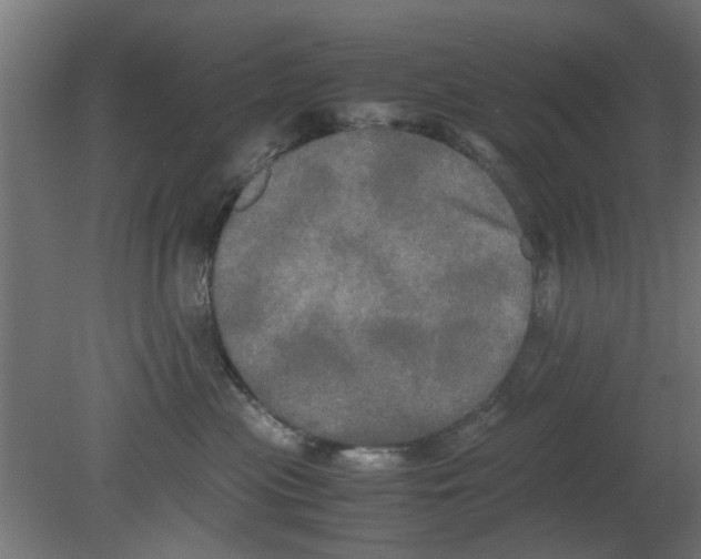 X0000080800477200701122219