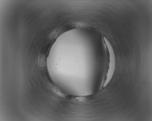 X0000080800478200701122219