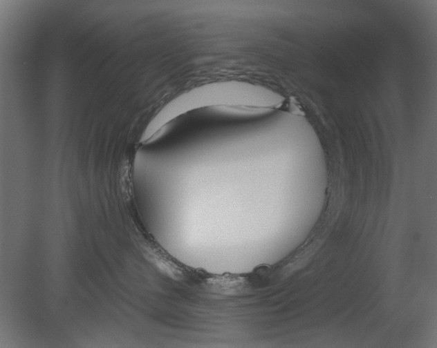 X0000080800480200701122219