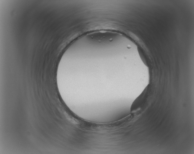 X0000080800481200701122218