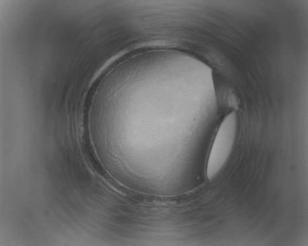 X0000080800484200701122218