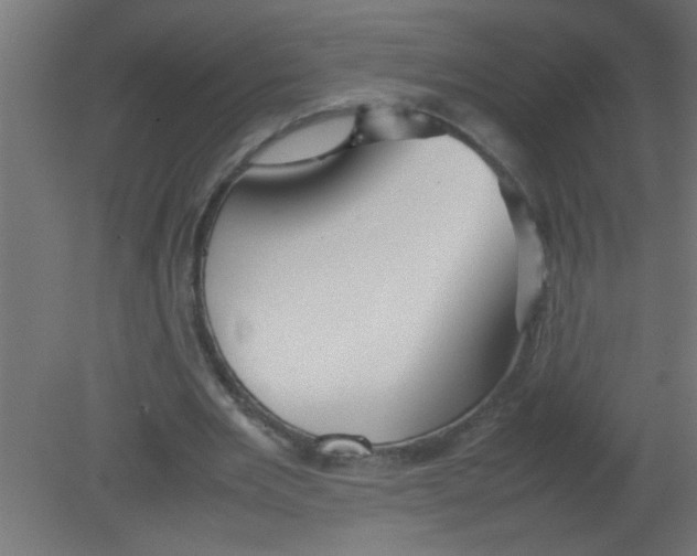 X0000080800485200701122218
