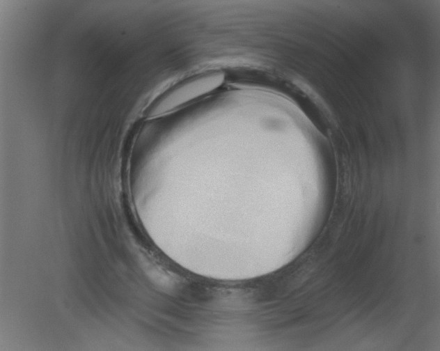 X0000080800486200701122218
