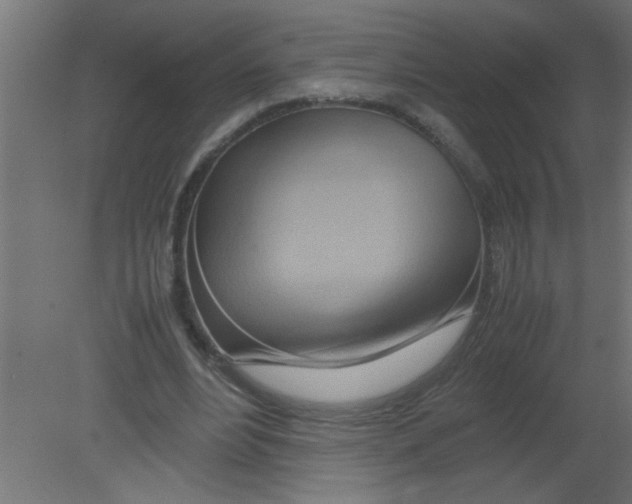X0000080800488200701122218