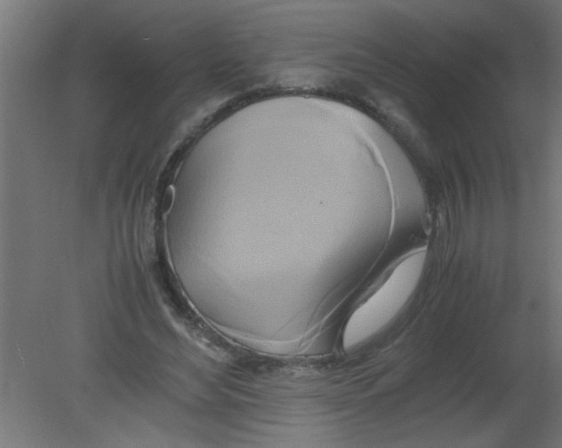 X0000080800492200701122218