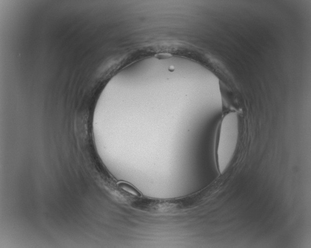 X0000080800501200701122218