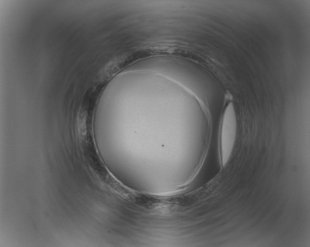 X0000080800504200701122218