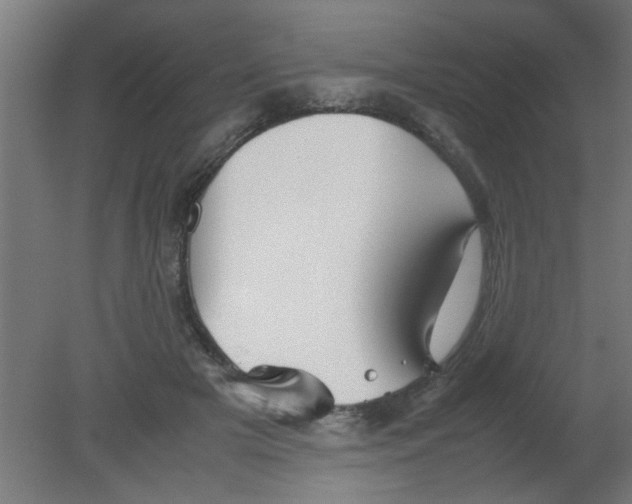 X0000080800505200701122218