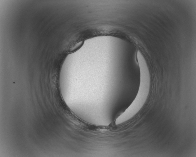X0000080800509200701122218