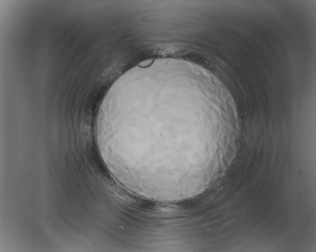 X0000080800510200701122218