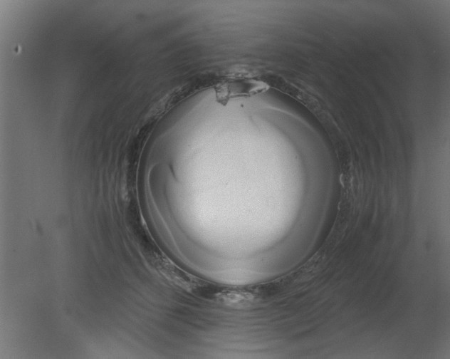 X0000080800512200701122218