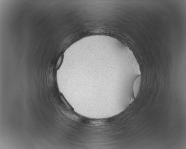 X0000080800516200701122218