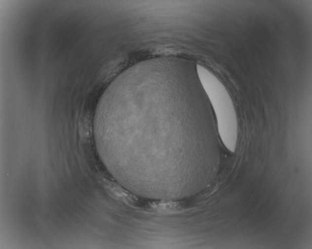 X0000080800517200701122218
