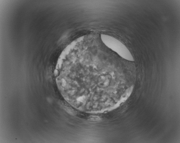 X0000080800519200701122218