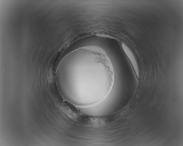 X0000080800520200701122218