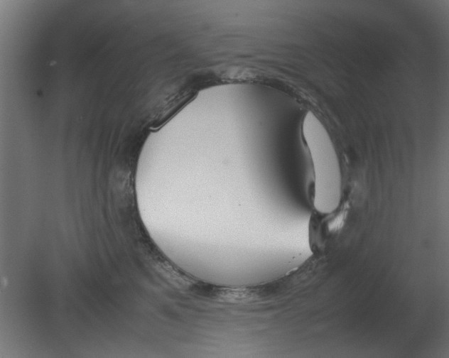 X0000080800521200701122218