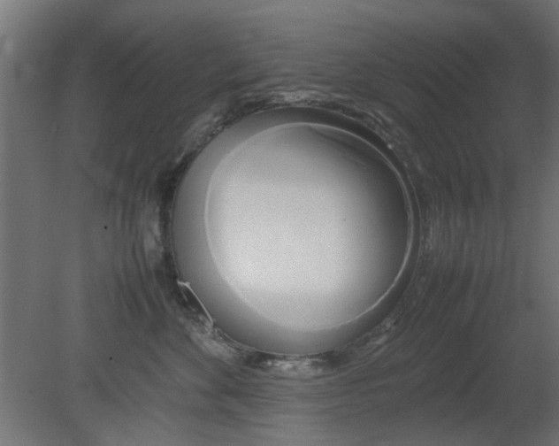 X0000080800524200701122218