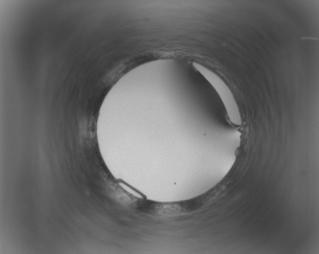 X0000080800525200701122218