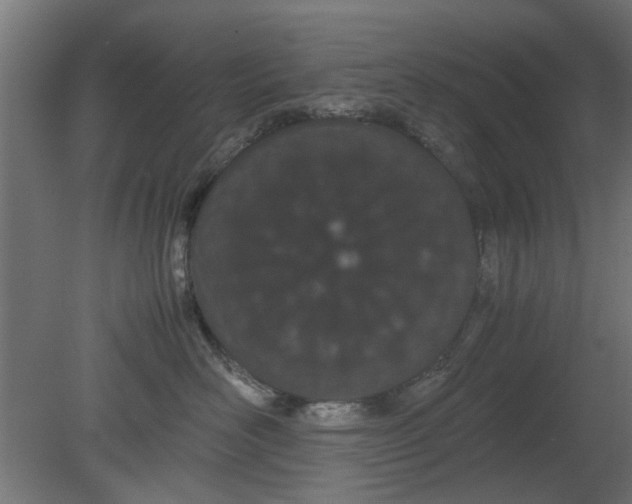 X0000080800526200701122218