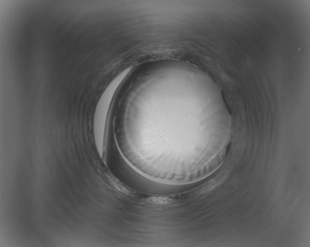 X0000080800528200701122218