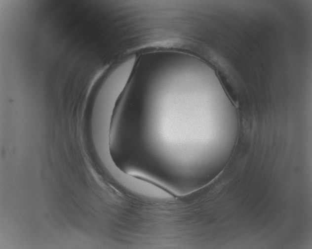 X0000080800532200701122217