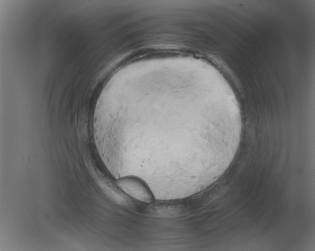 X0000080800533200701122217
