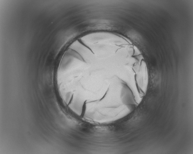X0000080800534200701122217