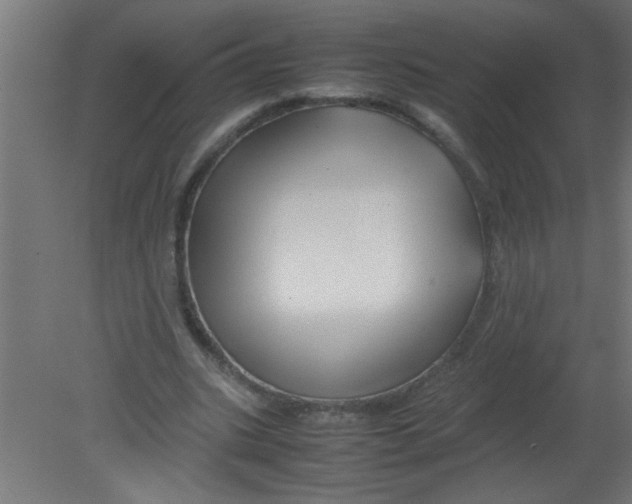 X0000080800535200701122217